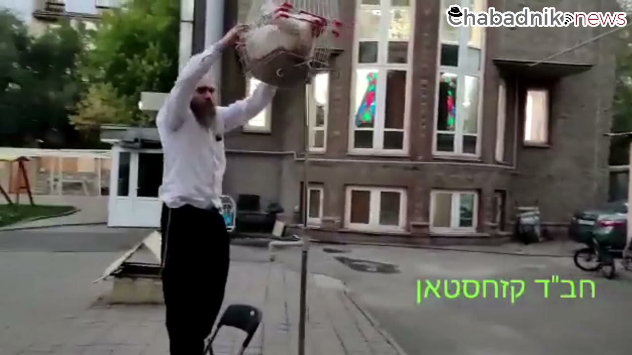 Kaparot Contraption