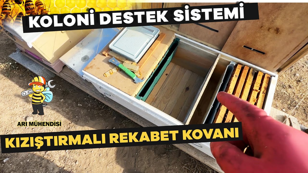 СИСТЕМА ПОДДЕРЖКИ КОЛОНИИ ИГРАЮЩИЙ УЛЕЙ ДЛЯ СОРЕВНОВАНИЙ