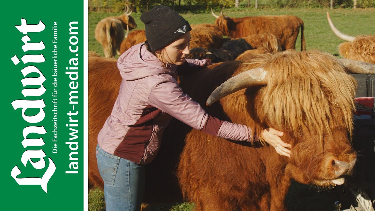 Verliebt in Highlands | landwirt-media.com