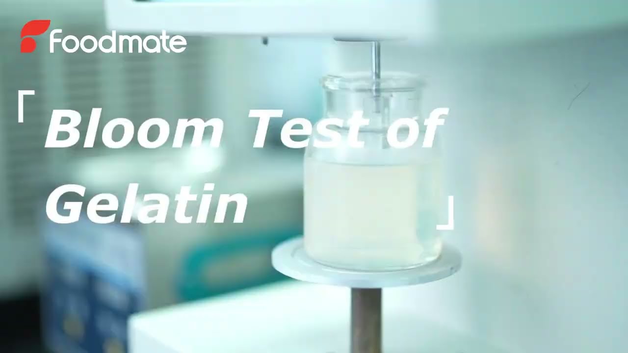 Foodmate R&D Center &mdash;&mdash; Bloom Test of Gelatin
