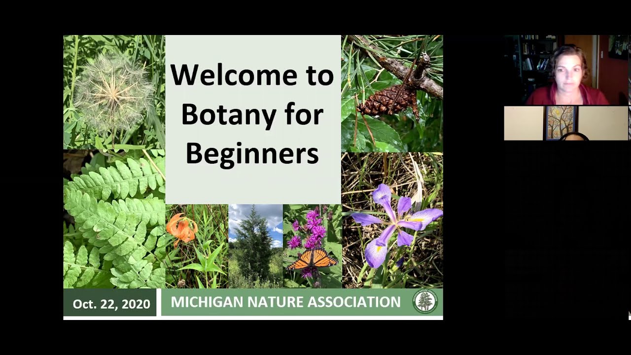 Botany for Beginners 10/22/2020