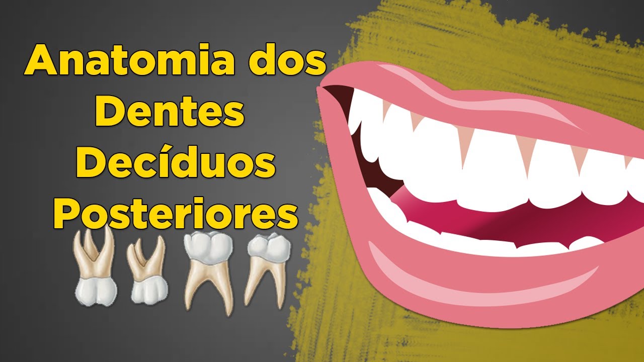 Anatomia dos Dentes Decíduos Posteriores – Molares Superiores e Inferiores - Aula de Anatomia Dental