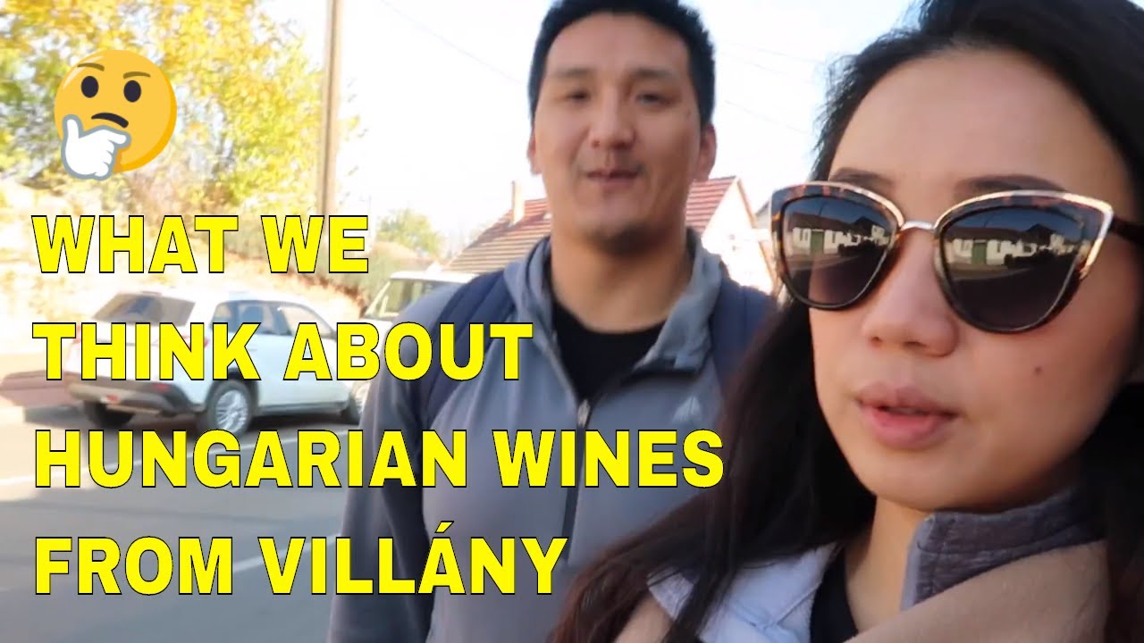 Hungarian RED Wine: Thoughts on Vill&aacute;ny