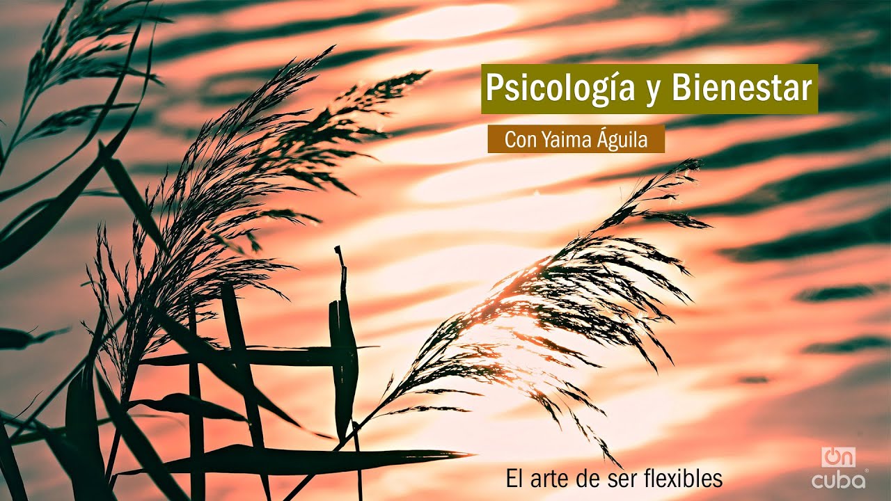 Psicología y Bienestar: El arte de ser flexibles