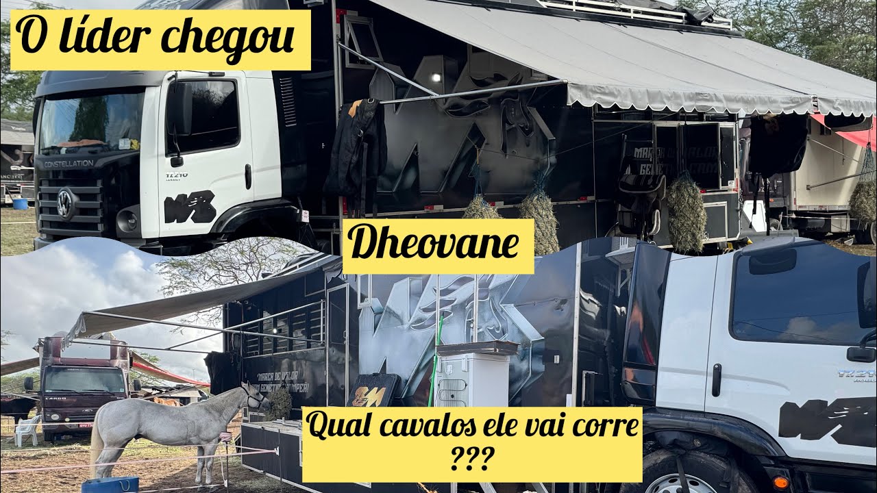 O LÍDER DHEOVANE CHEGOU QUAL CAVALO ELE VAI CORRE ESSA ETAPA DO HARAS WM ? 