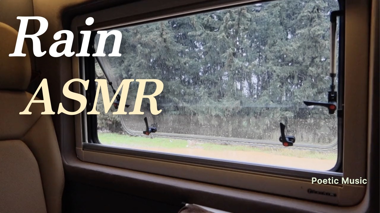 Rain Sounds | Relaxing ASMR | 집중과 수면을 위한 차 안에서 듣는 빗소리