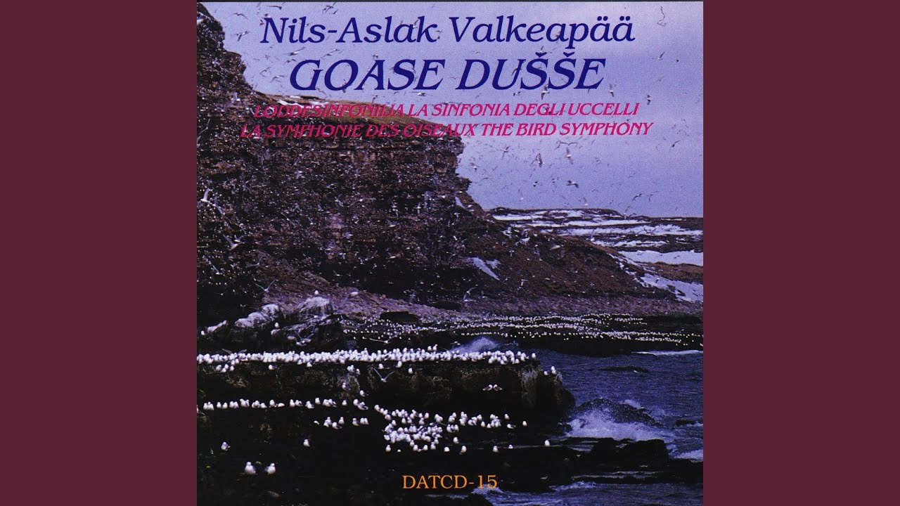 Goase dušše (The Bird Symphony)
