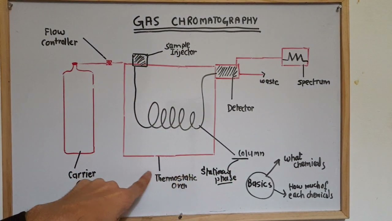 BASICS OF GAS CHROMATOGRAPHY  II HOW GC WORK ?