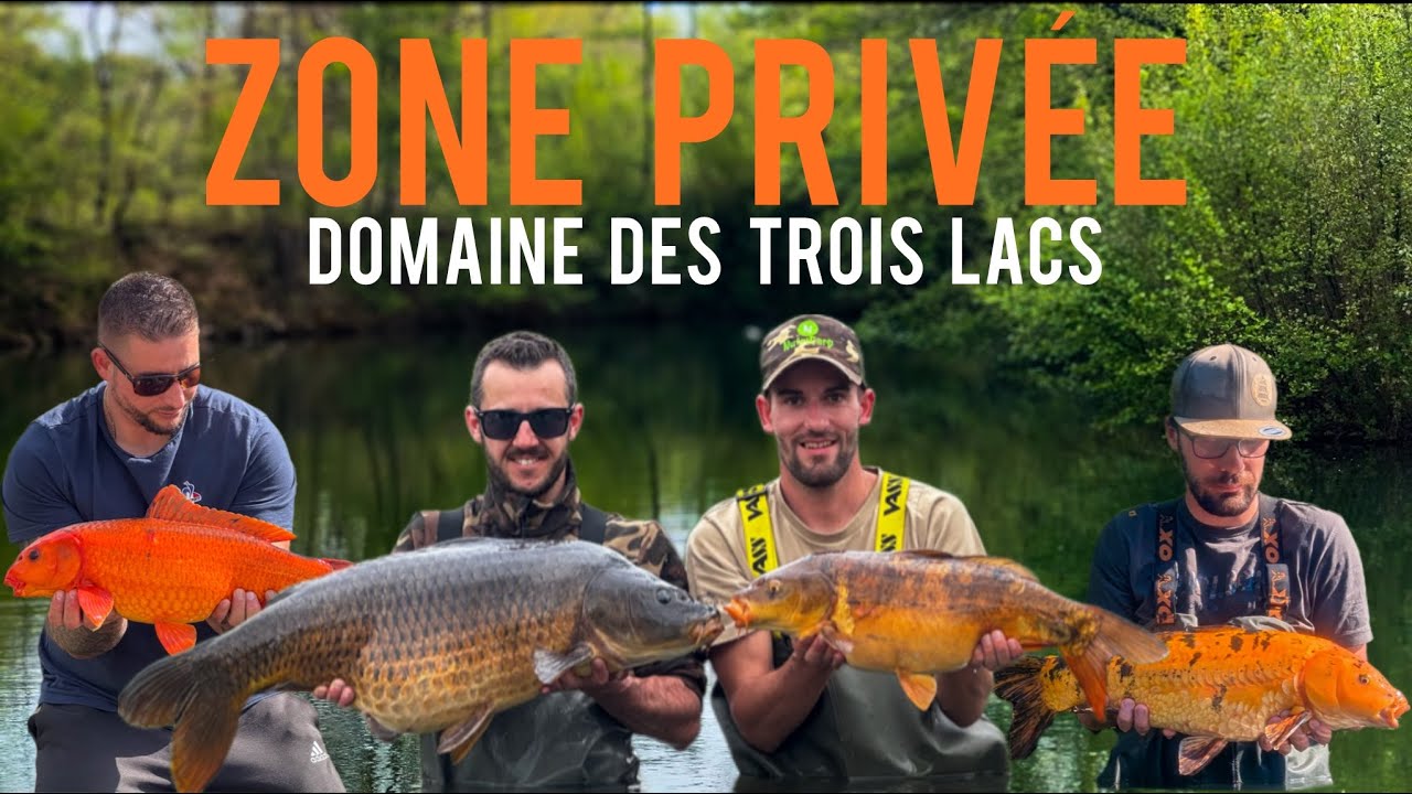 Paradis des carpes koï au domaine des 3 lacs  4K