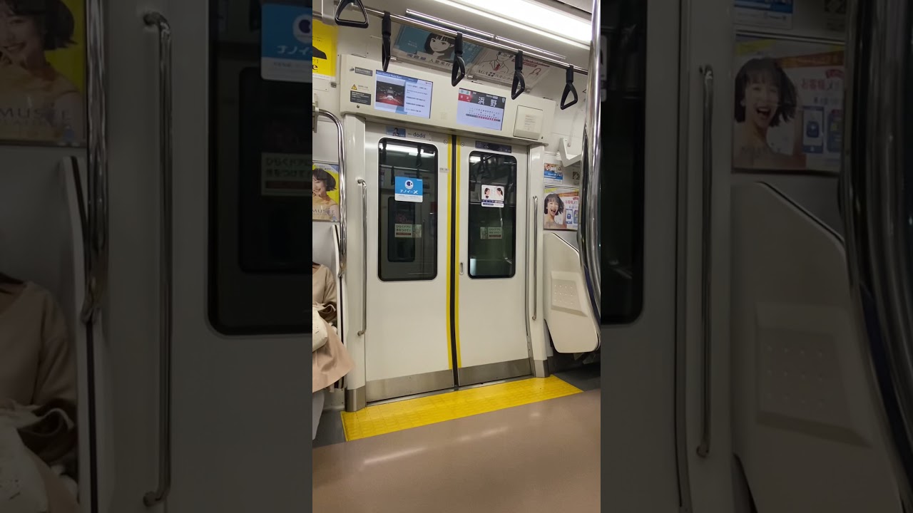 内房線内を走るE233系5000番台【蘇我駅から浜野駅】