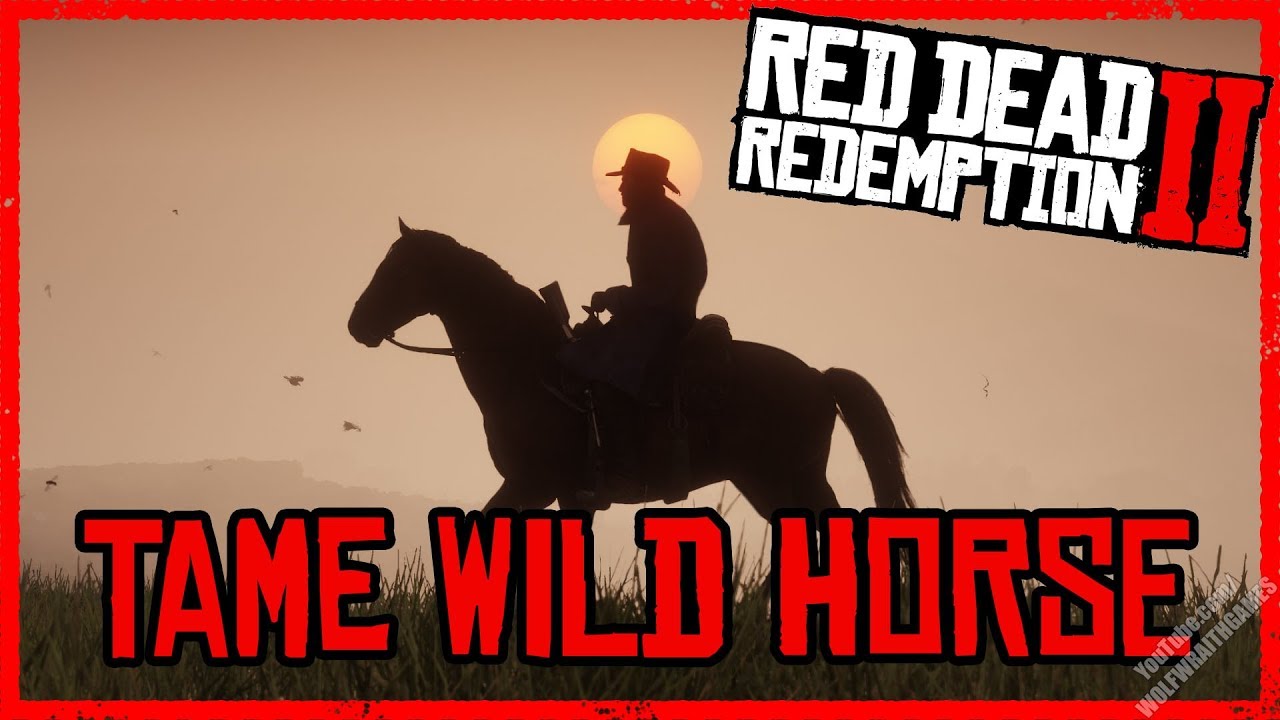 Tame a Wild Horse Quick - Red Dead Redemption 2 - Horse Guide (PS4)