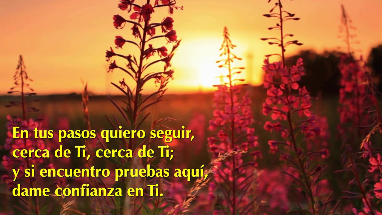 HIMNO 