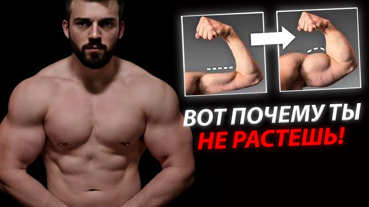 Как набрать массу худому? (+5кг за МЕСЯЦ)