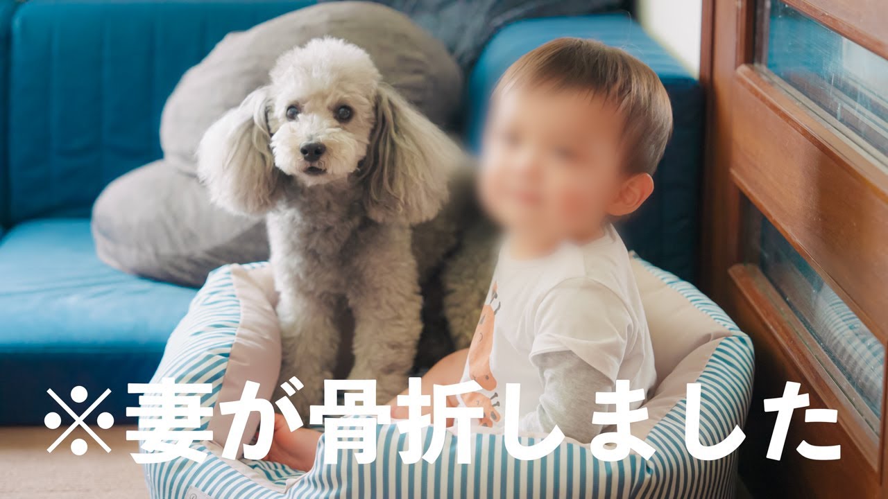 🐶【ワンオペ育児】妻が骨折して大ピンチ！我が家のリアルな１日のルーティン【DEEBOT T30 PRO OMNI】