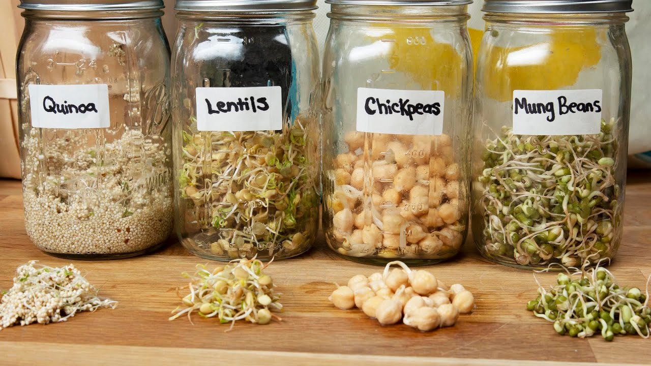 How To Sprout Anything