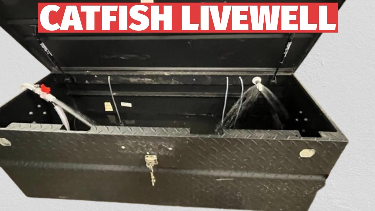 EASY CATFISH LIVEWELL