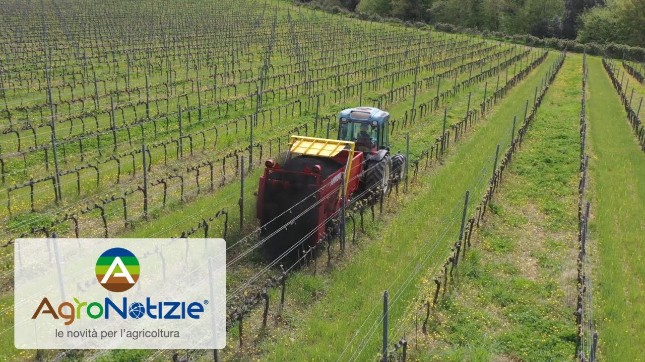 Meno stress idrico in vigneto grazie al biochar: il progetto B-Wine