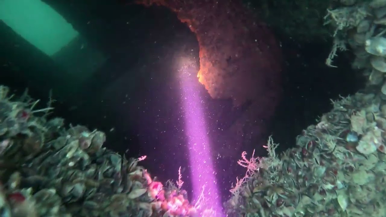 Pioneer wreck diving site - Sozopol, Bulgaria 2024