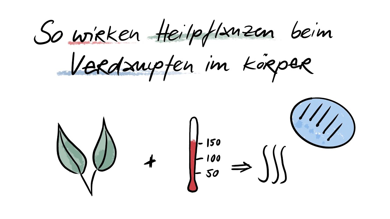 So wirken Heilpflanzen beim Verdampfen im K&ouml;rper