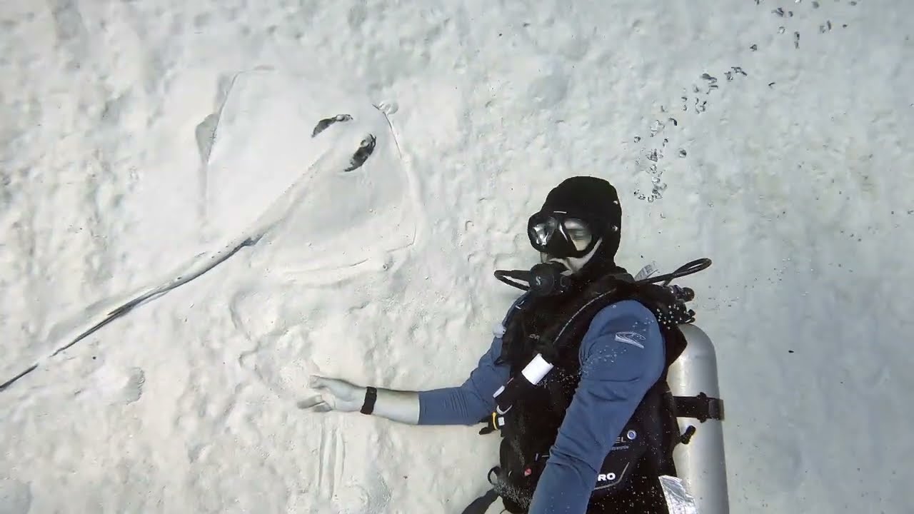 Moms Return to Diving