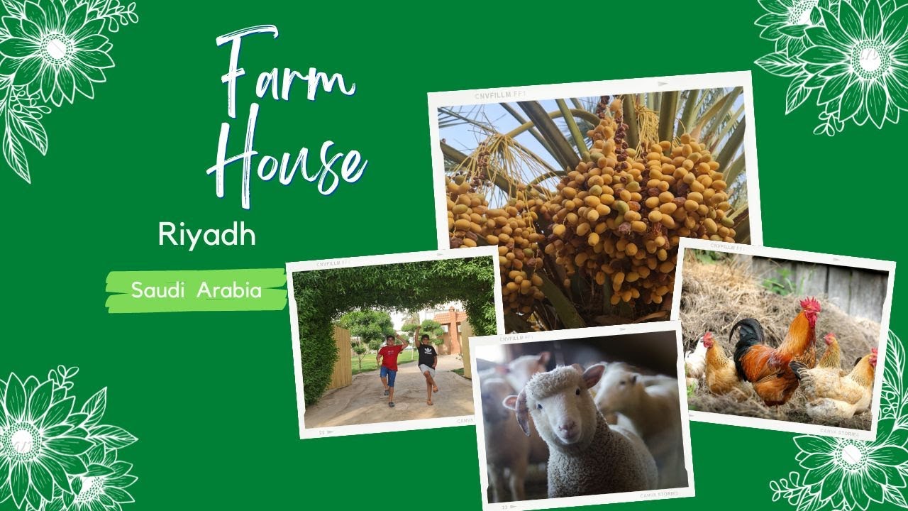 Farm House / Beautiful Farm / Riyadh Saudi Arabia/ Easam&rsquo;s World