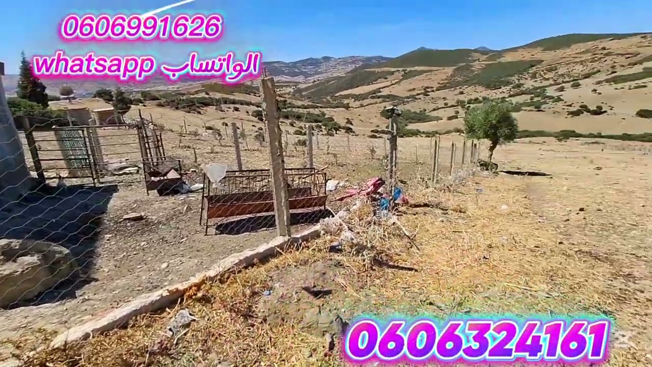 قطعة ارضيه 6000متر محفظة واصلا الماء والضوء على الطريق في لخميس آنجرة والتفاصيل في الفيديو 