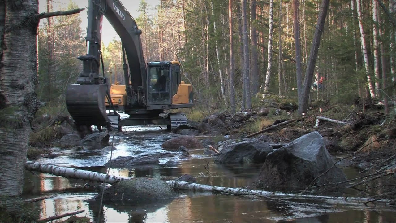 Återställning av Vindelälven - Restoring river Vindelälven