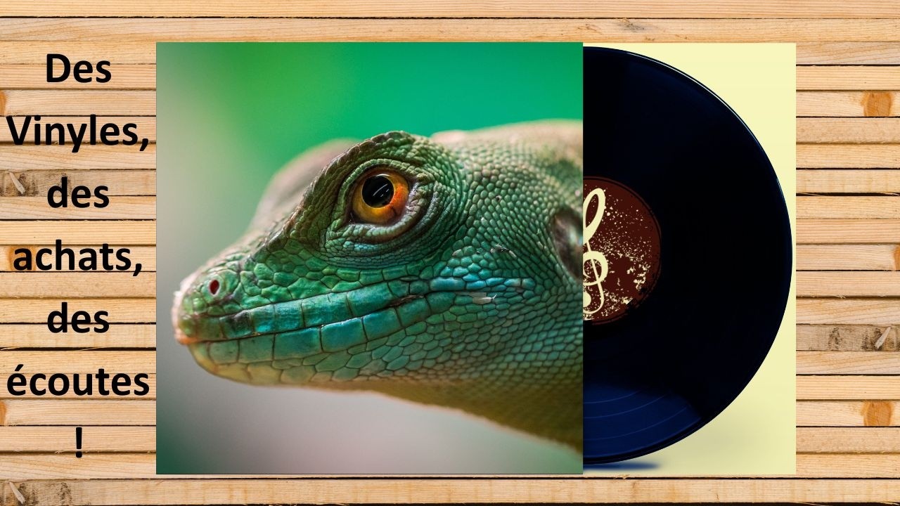 Des vinyles en janvier, sur la platine !