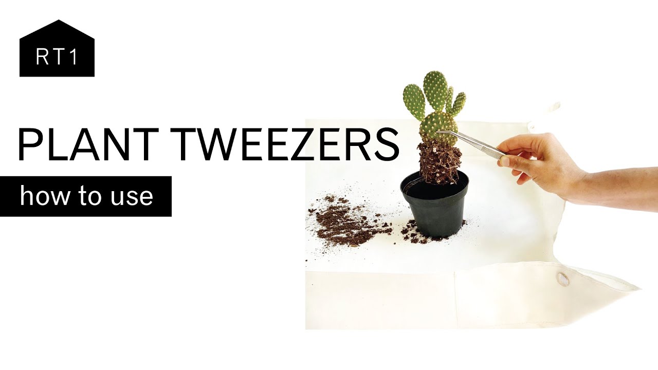 HOW TO USE PLANT TWEEZERS