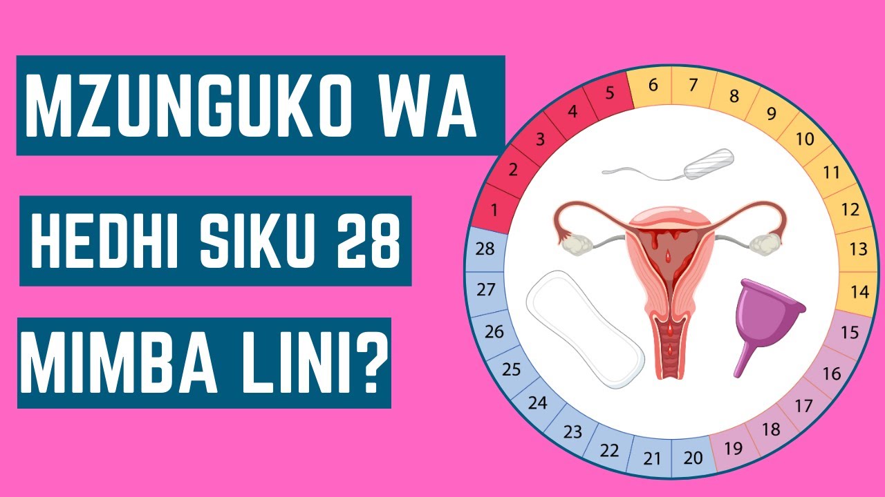 Jinsi ya kuhesabu Mzunguko wa hedhi siku 28 na Siku za kupata mimba
