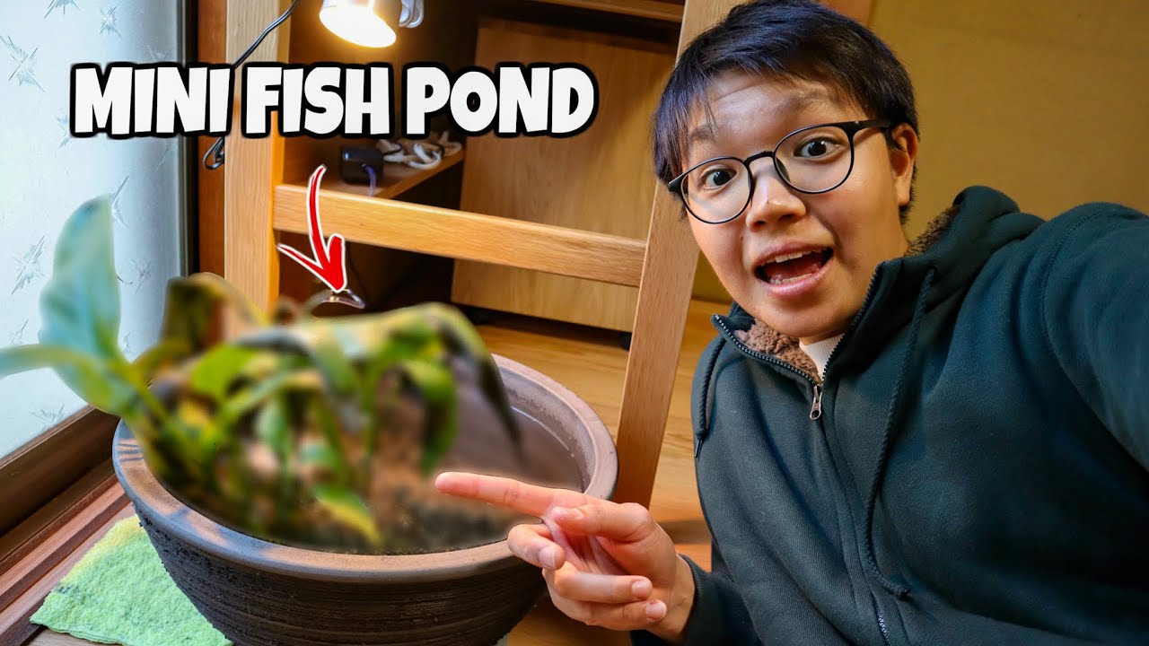 My DIY Indoor MINI FISH POND!