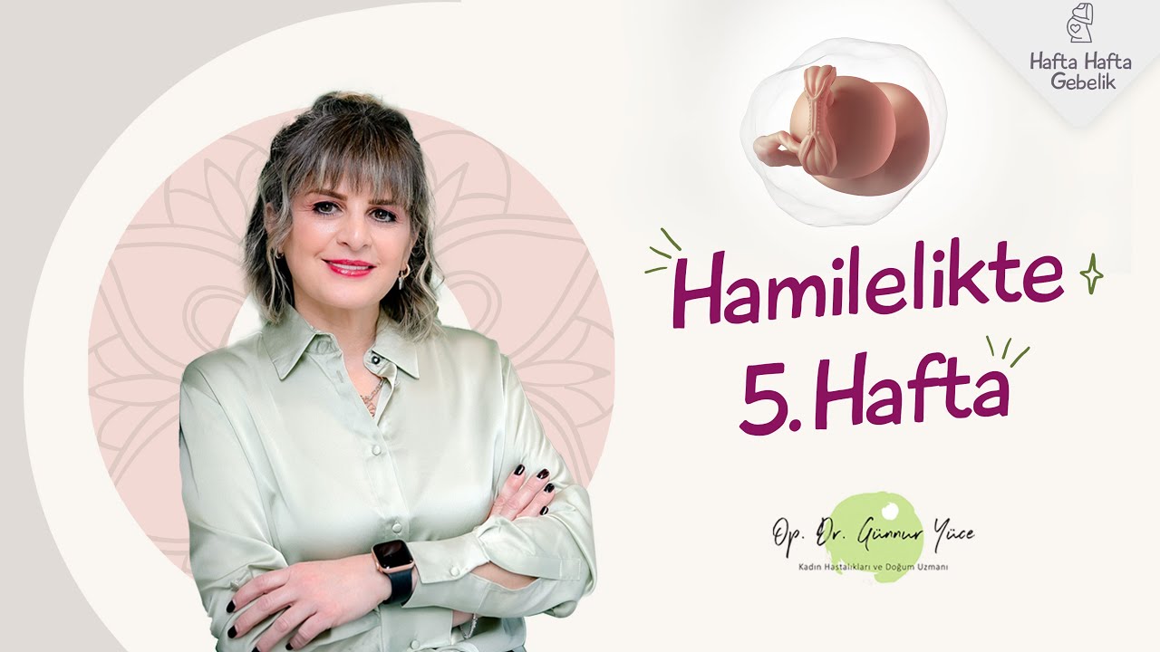 Gebelikte 5. Hafta | Op. Dr. Günnur Yüce | Hafta Hafta Gebelik