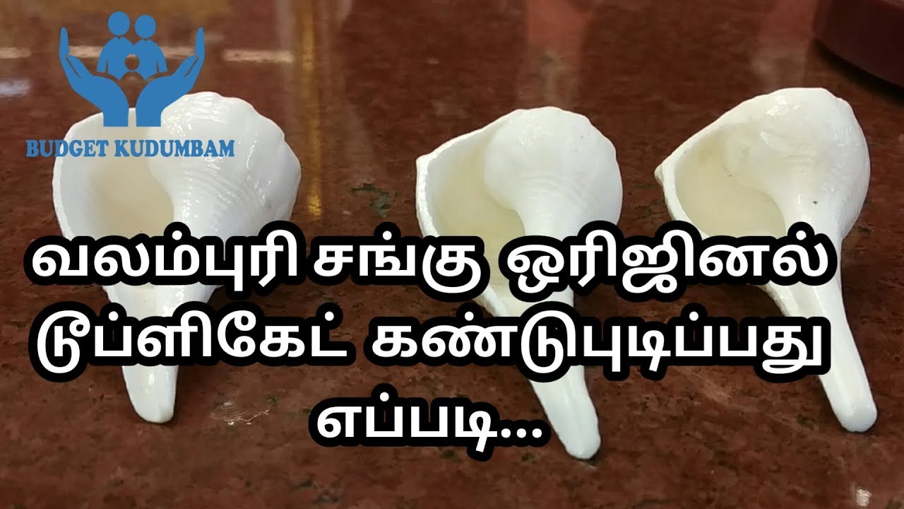 வலம்புரி சங்கு ஒரிஜினல் டூப்ளிகேட் கண்டுபுடிப்பது எப்படி | valampuri sangu |valampuri sangu original