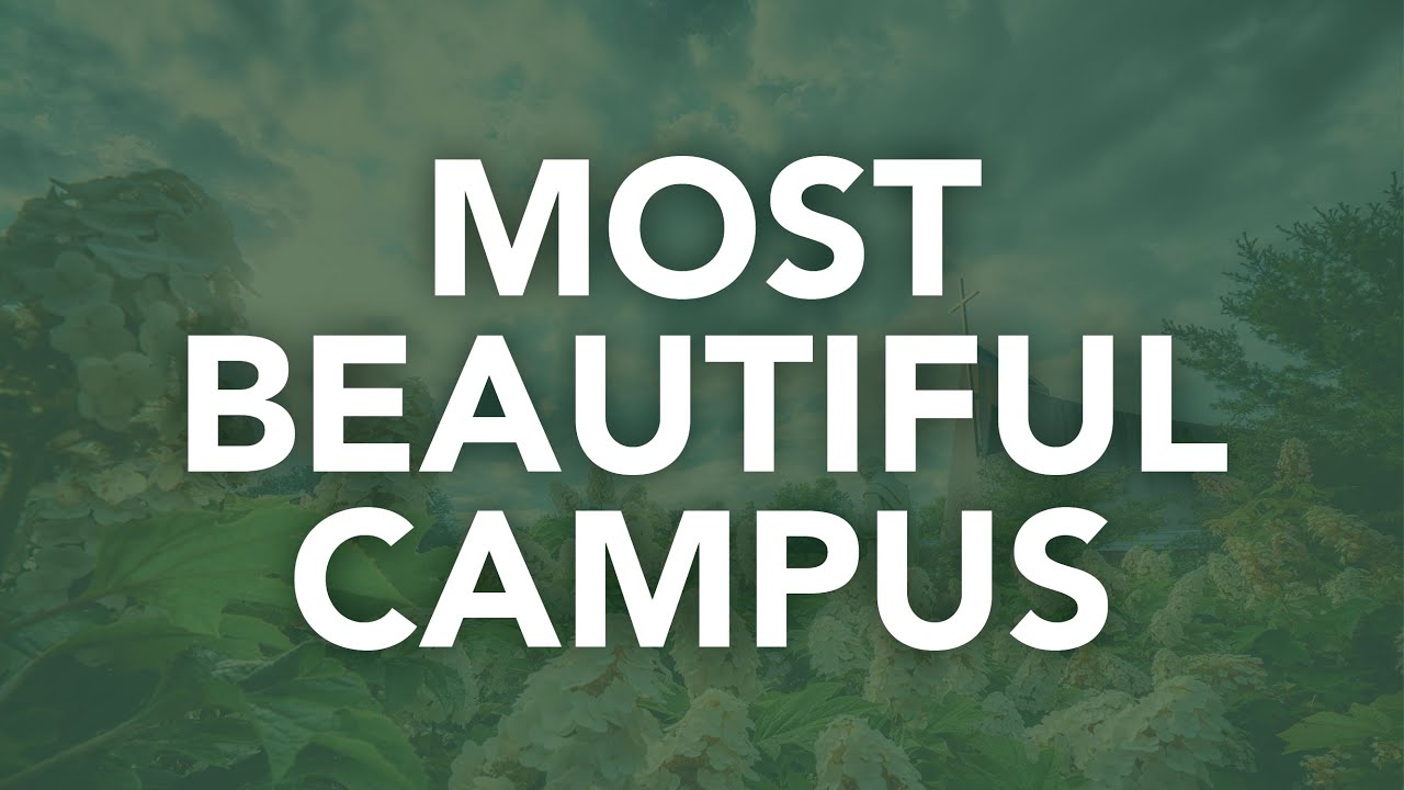 Encounter Beauty on Campus | Franciscan University