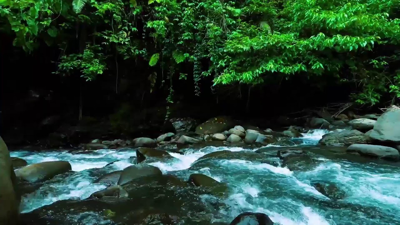 Dark Jungle River Flow &ndash; Deep Sleep Nature Sound with Rushing Water Sound