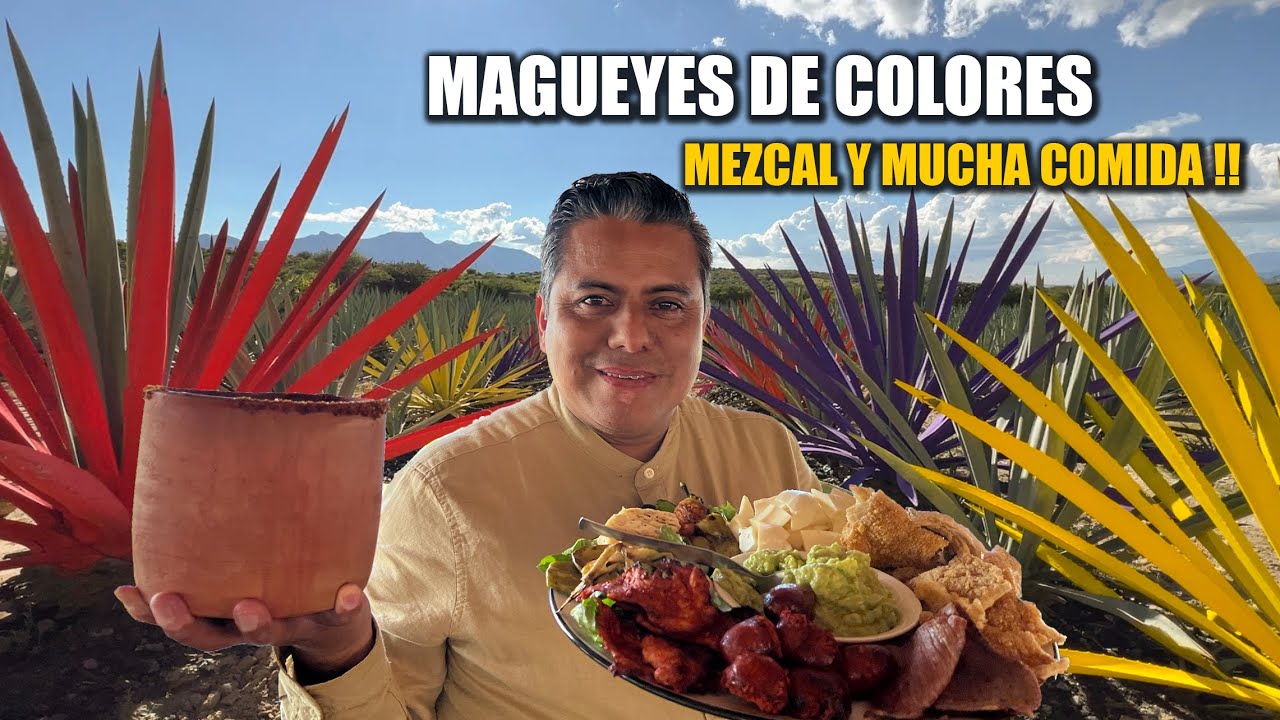 Encontré MEZCAL y MUCHA COMIDA en este LUGAR | Oaxaca, México