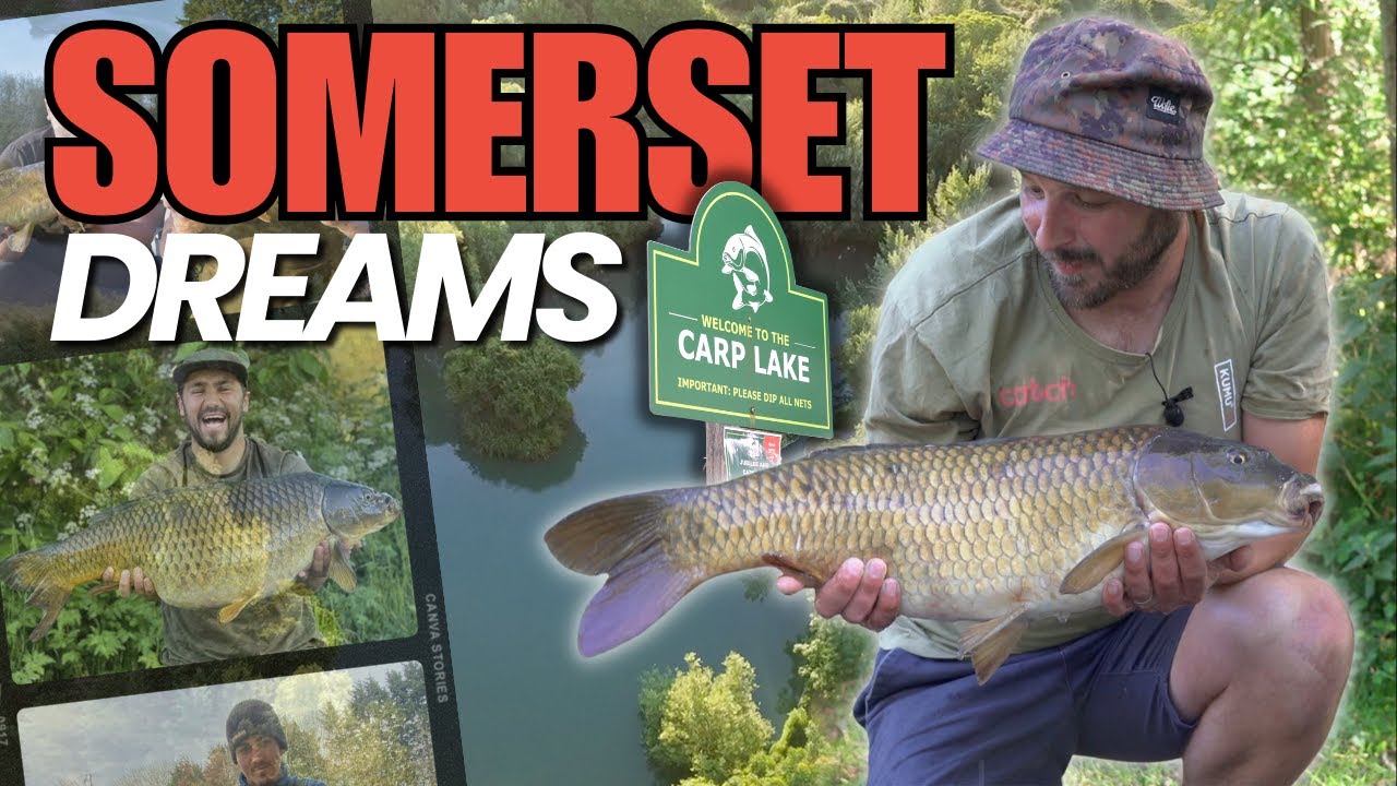 Somerset Dream | Plantations Lakes | CARP FISHING in Somerset  | Day ticket fishing