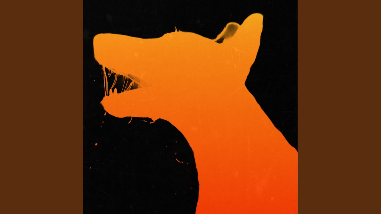 Dogs