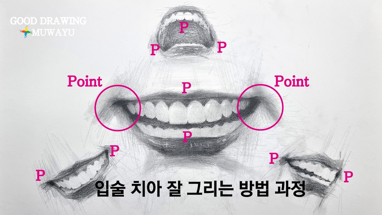 웃는 입술 치아 쉽게 그리는 방법 순서 과정