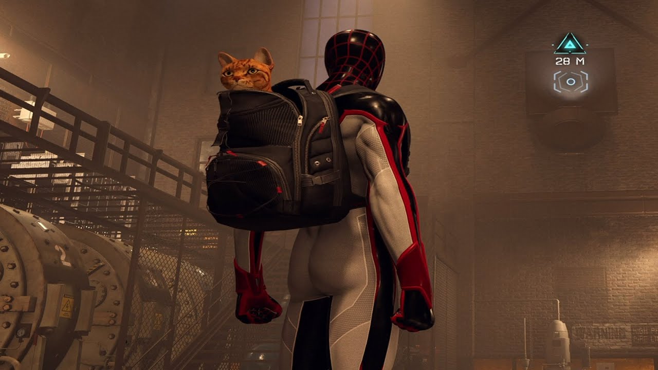 Spider-Man: Miles Morales - Saving Spidey-Cat | Returning Spider-Man (Cat) to Teo