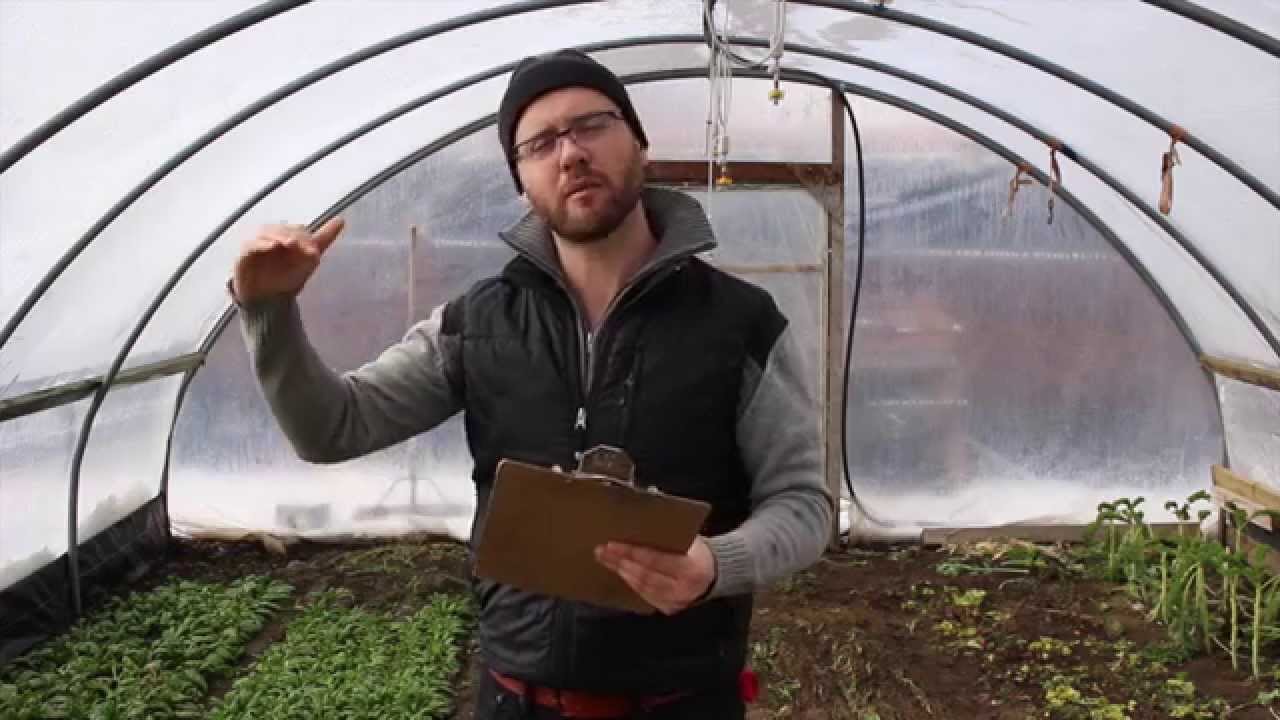 Ask The Urban Farmer -- HOW TO Negotiate Land Leases for Urban Farming Plots