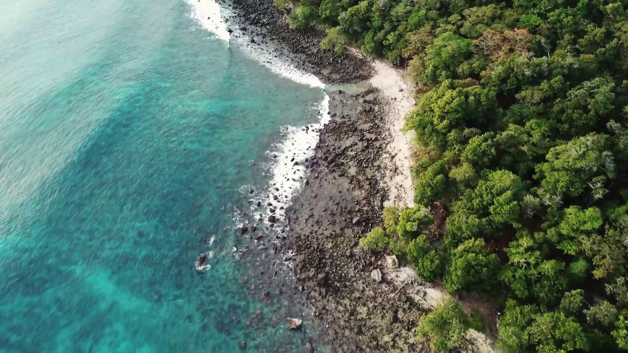 Beach Sound with Seagulls Bird Sound 2021