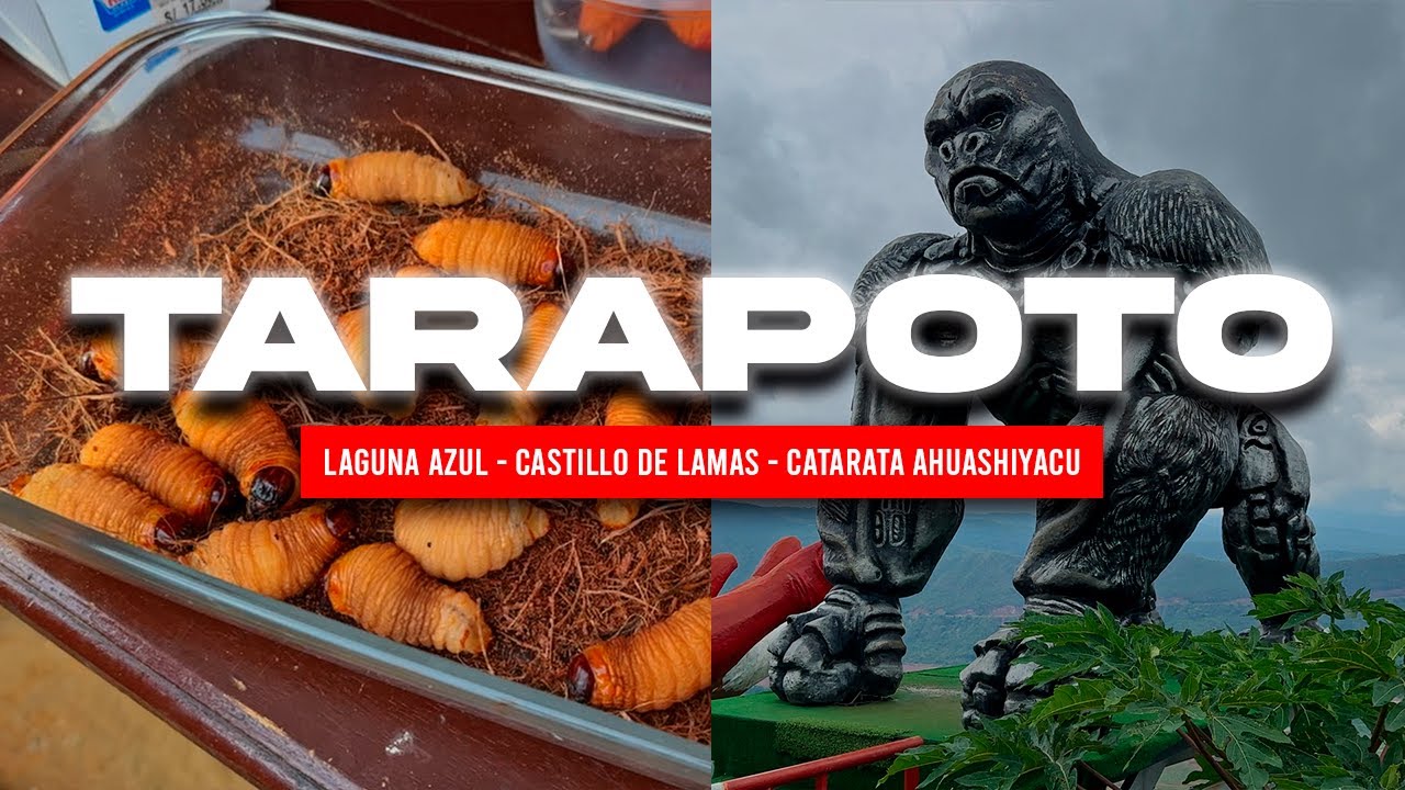 CONOCIMOS TARAPOTO || CASTILLO DE LAMAS - LAGUNA AZUL - CATARATA AHUASHIYACU