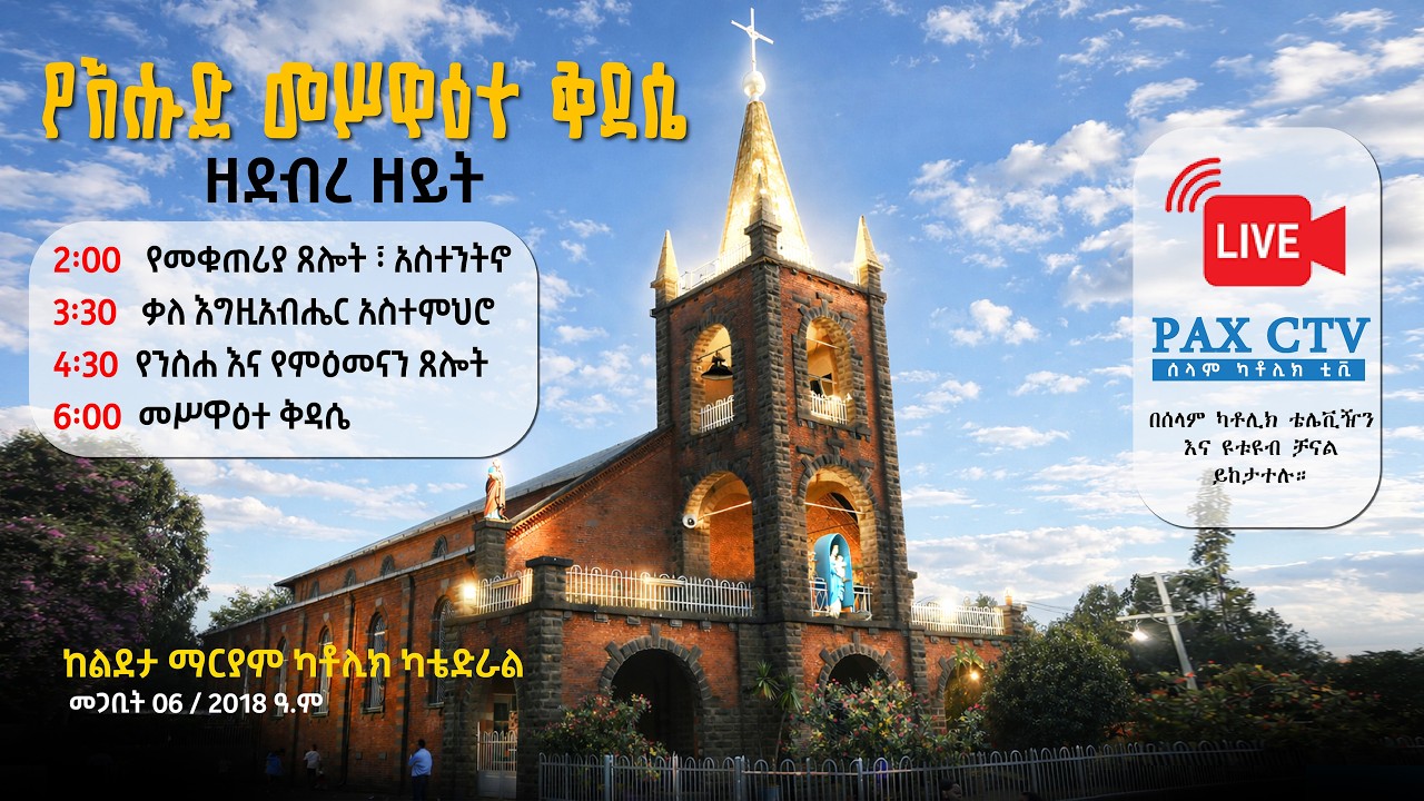 የእሑድ መሥዋዕተ ቅዳሴ ቀጥታ ስርጭት ከልደታ ማርያም ካቴድራል | | Live Mass from the Nativity Catholic Cathedral A.A.