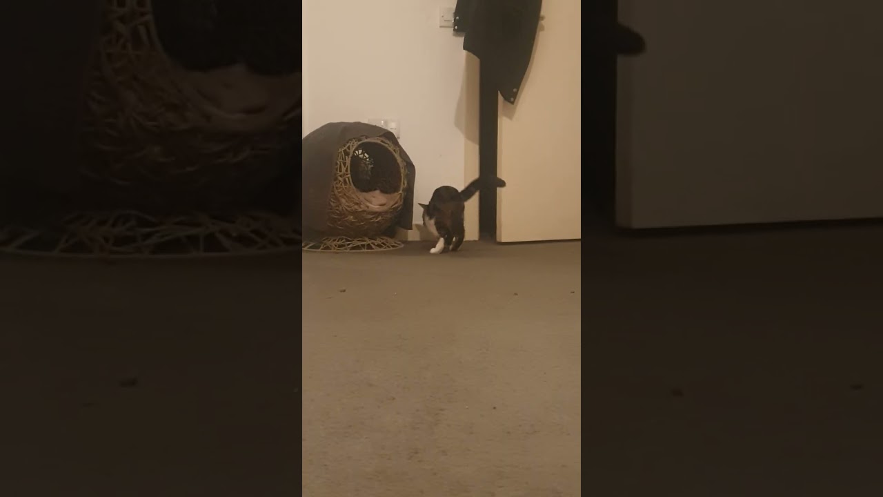 Ready Steady go ❤🥰