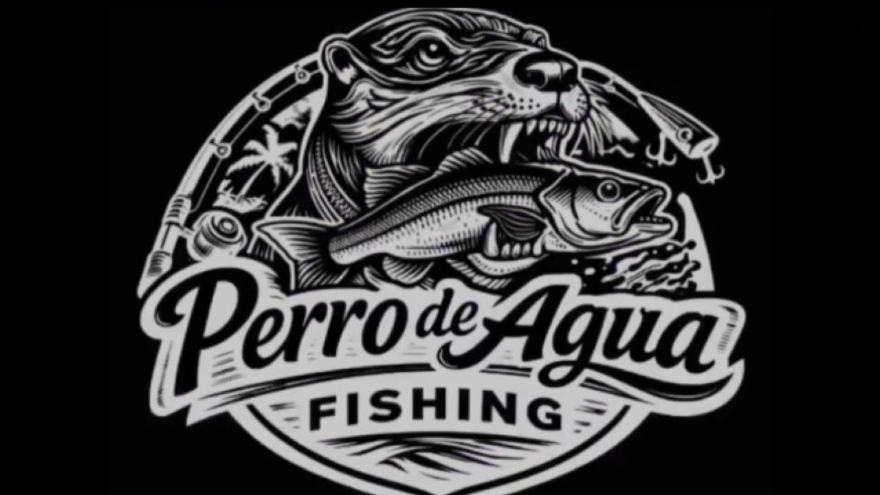 Pesca de orilla. Robalos.