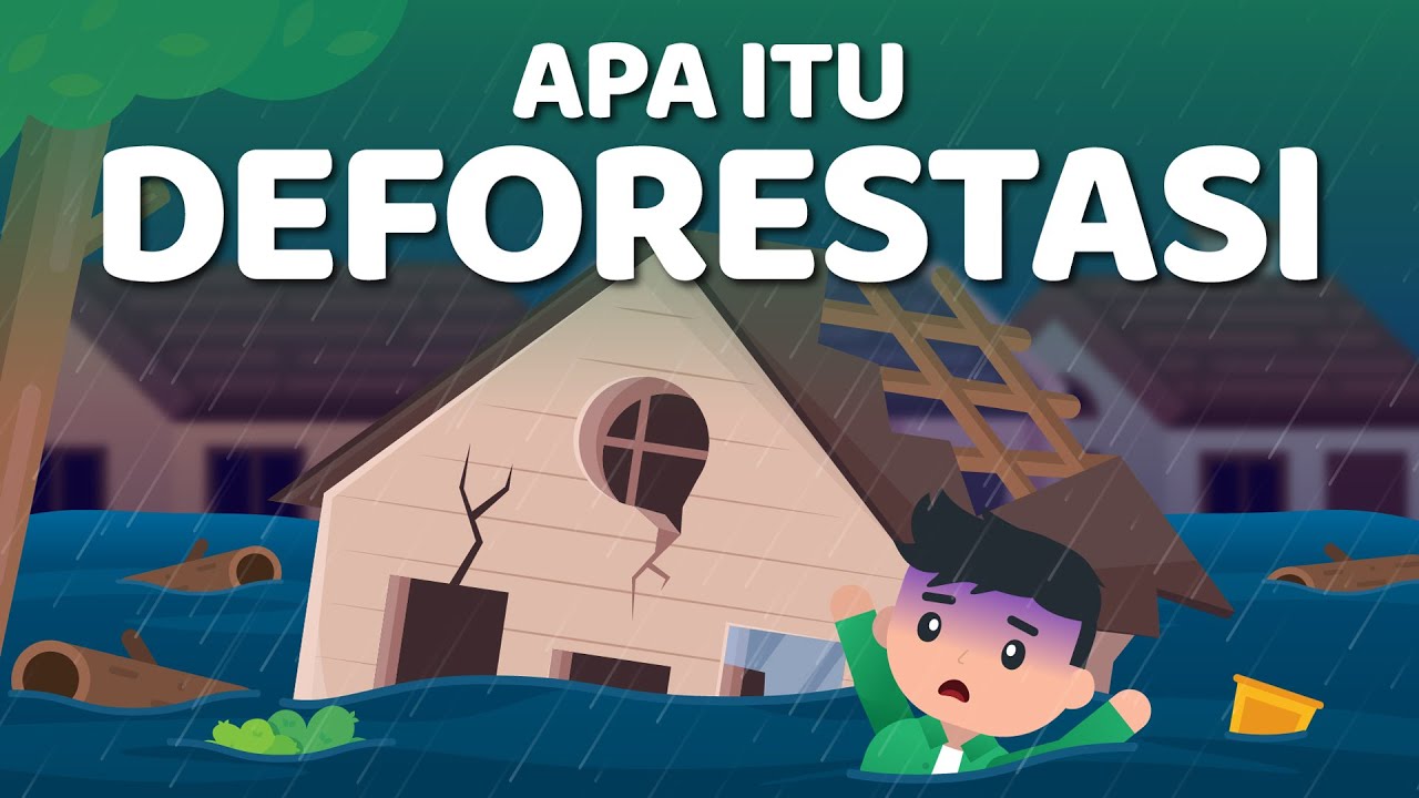 Apa itu Deforestasi? dan Seberapa Buruk Dampaknya Bagi Lingkungan?