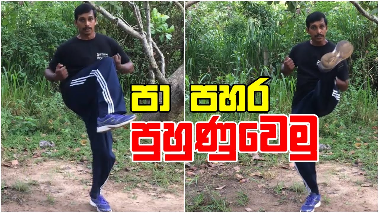 විංග් චුන් පා පහර පුරුදු වෙමු Wing Tsjun (Wing Chun) Kung Fu