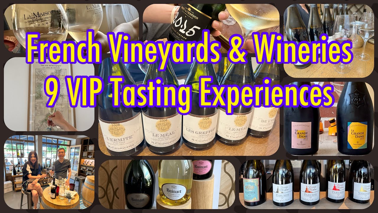 French vineyards VIP tasting | Ruinart | Chapoutier | Moët | Veuve Clicquot | Paul Jaboulet Aîné