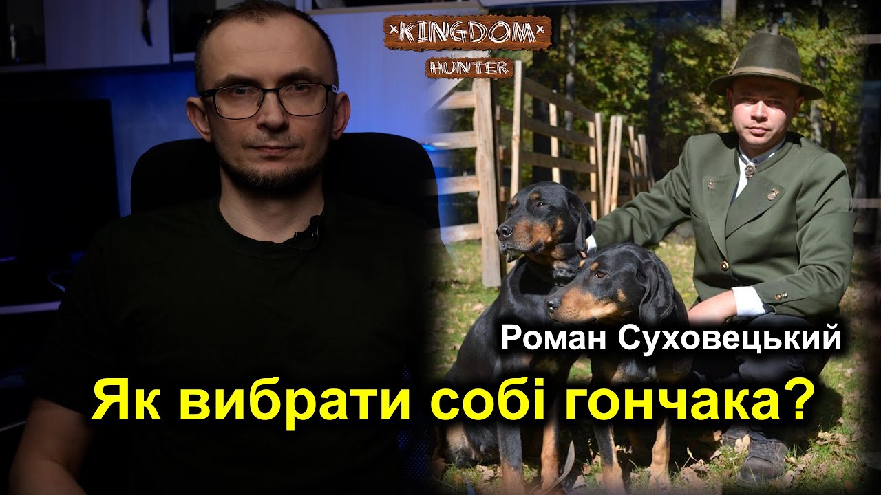 Як вибрати собі гончака?